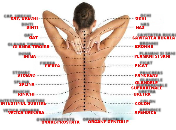 tratamentul durerii la nivelul coloanei vertebrale toracice cum să scapi rapid de durerile de spate